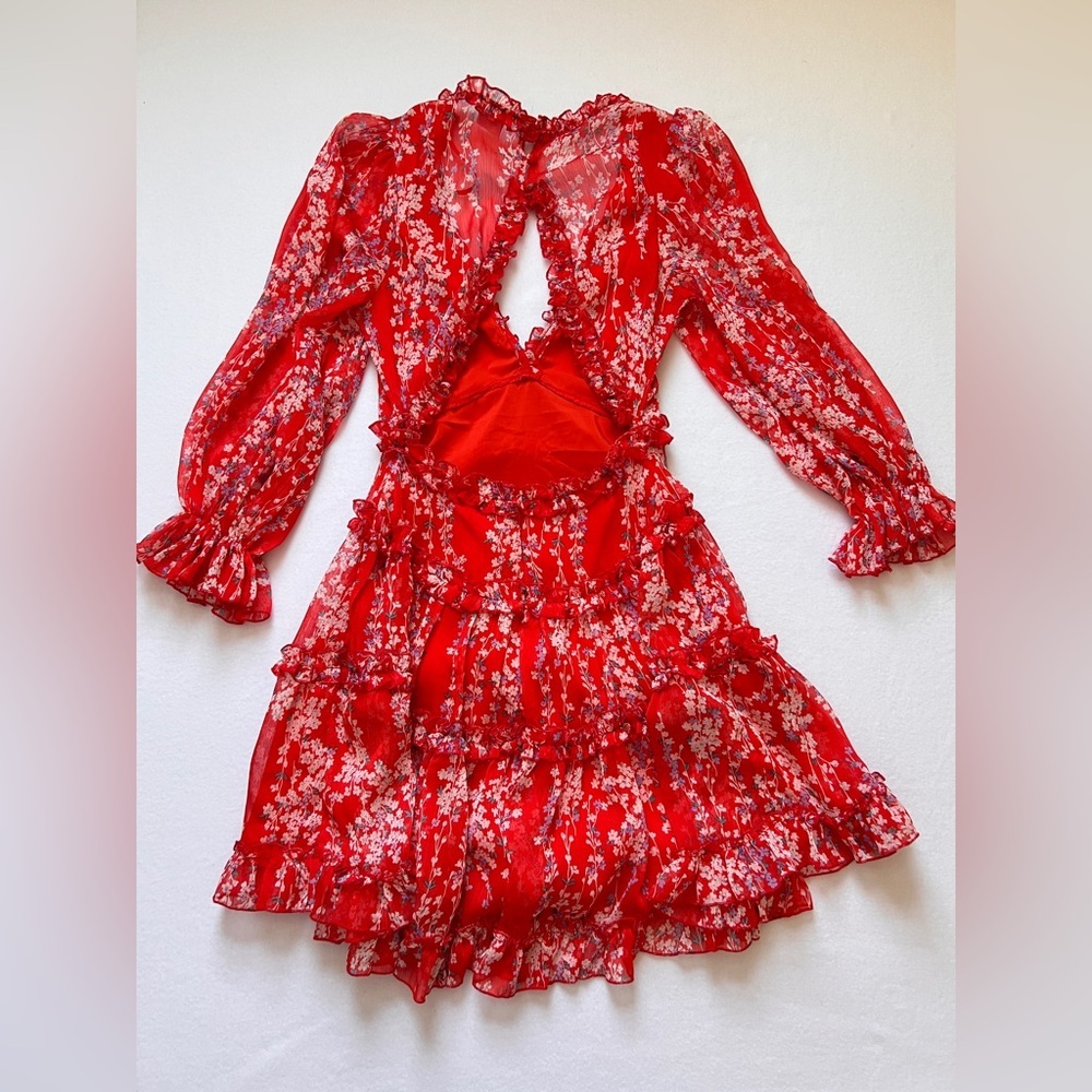 Angel Biba Red Floral Backless Dress